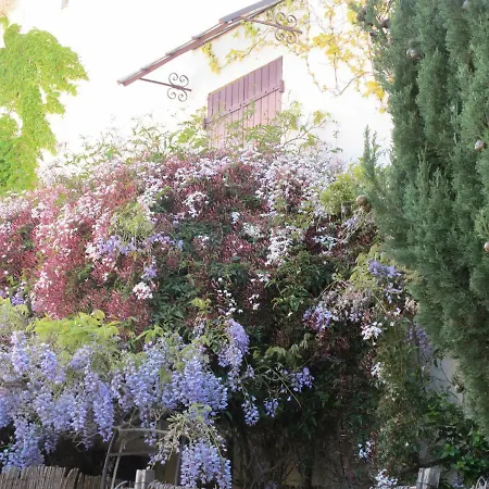 Casa-tena-sorede Panzió