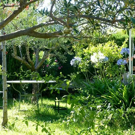 Casa-tena-sorede Panzió Sorède